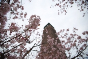 20160402_2nenorientation-1.jpg