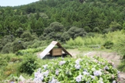 20160923_kanamine2.jpeg