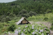 20160923_kanamine2.jpeg