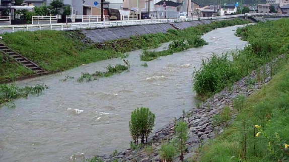 P1040051.jpg