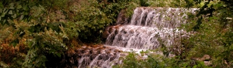 20050910_022.jpg