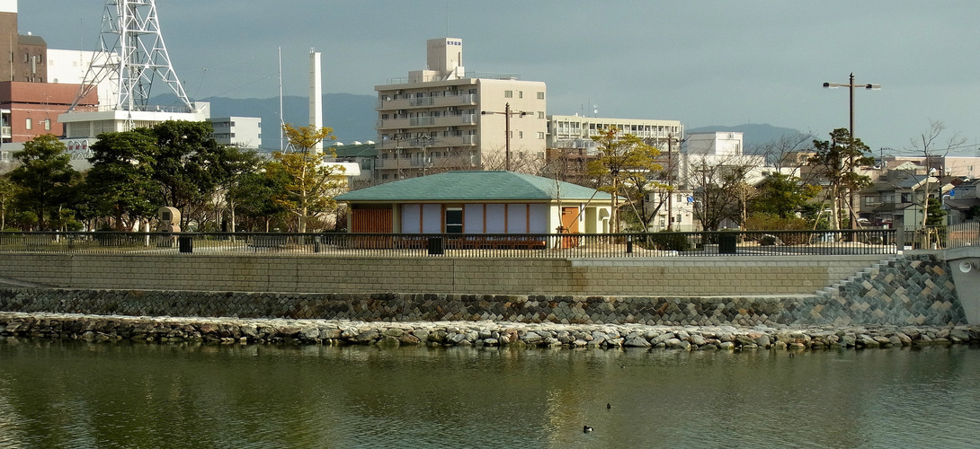 r1091493.jpg