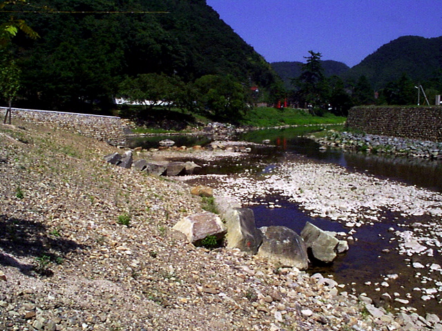 P002930.jpeg.jpg