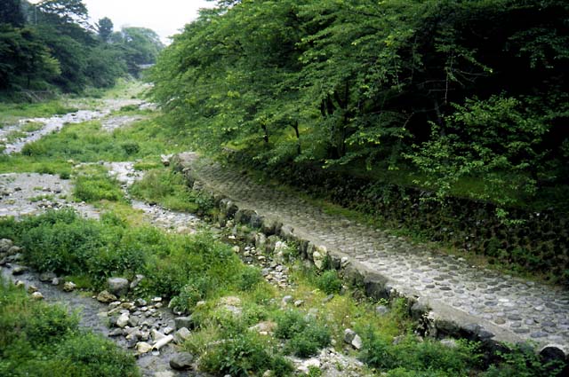 07.jpg