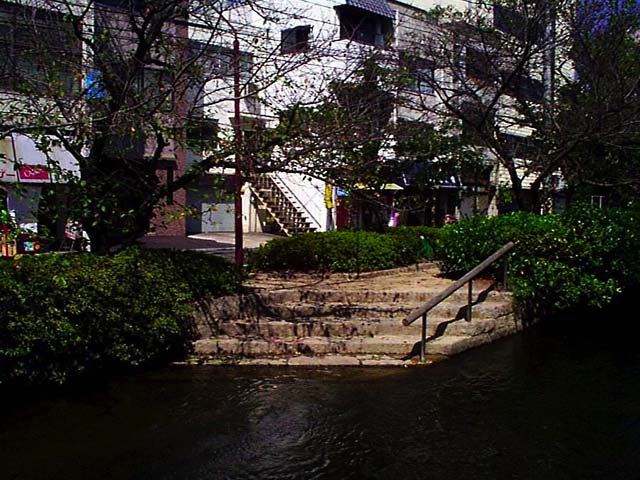P003231.jpg