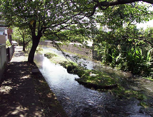 19990905_161.JPG