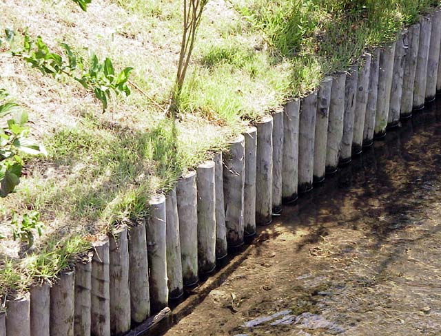 19990905_271.JPG