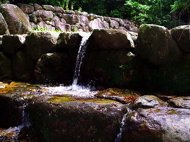 P002836.jpg