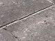 19990618_081.jpg