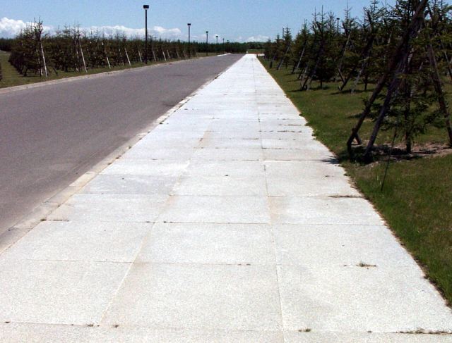 19990619_160.jpg