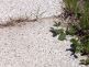 19990619_161.jpg