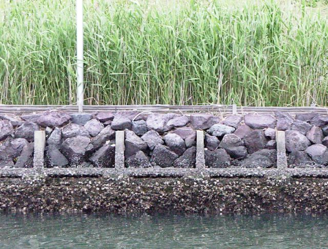 20010613_042.jpg