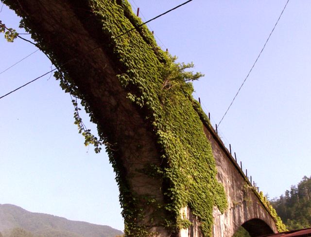 20010607_014.jpg